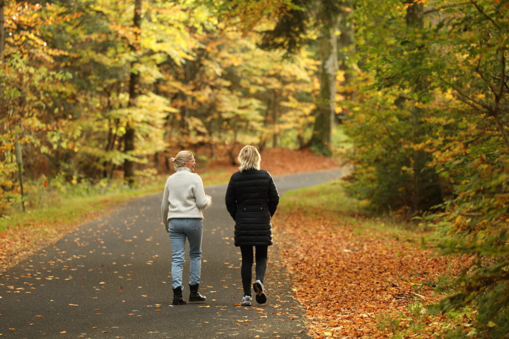 Walk and Talk